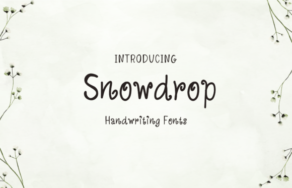 Choosing the Right Font for a Creative Brand: Snowdrop in Action