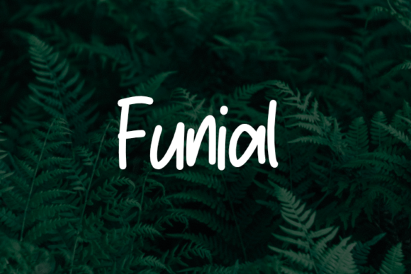 Funial: A Versatile Font for Creative Crafters and Product Makers